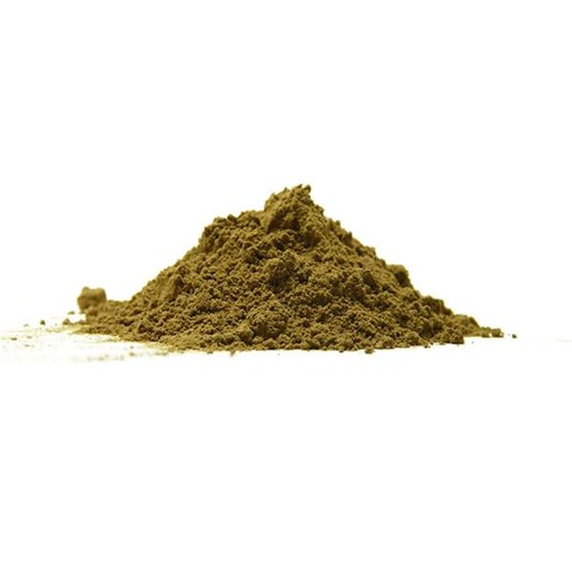 ΓΑΝΟΔΕΡΜΑ POWDER (REISHI) (ΑΠΟΞΗΡΑΜΕΝΟ ΒΟΤΑΝΟ)