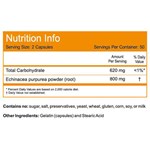 NOW FOODS ECHINACEA 400mg PURPUREA ROOT (100 ΚΑΨΟΥΛΕΣ)